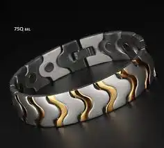 টাইটানিয়াম ম্যাগনেটিক ব্রেসলেট (TMB-38)