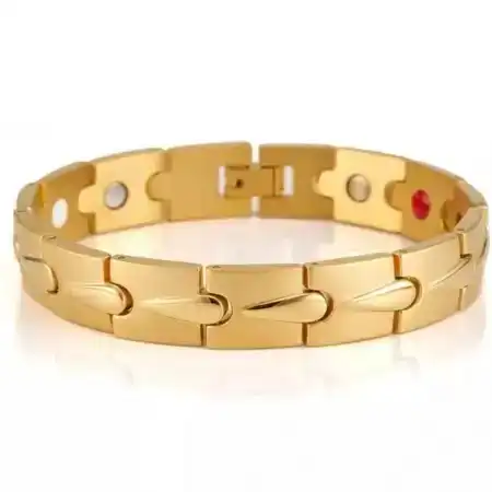 টাইটানিয়াম ম্যাগনেটিক ব্রেসলেট (TMB-46)