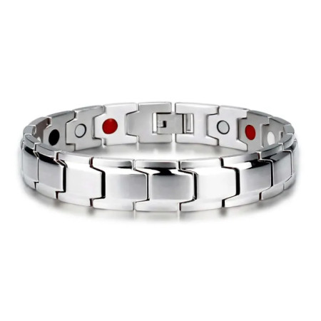 Titanium magnetic bracelet (TMB-31)