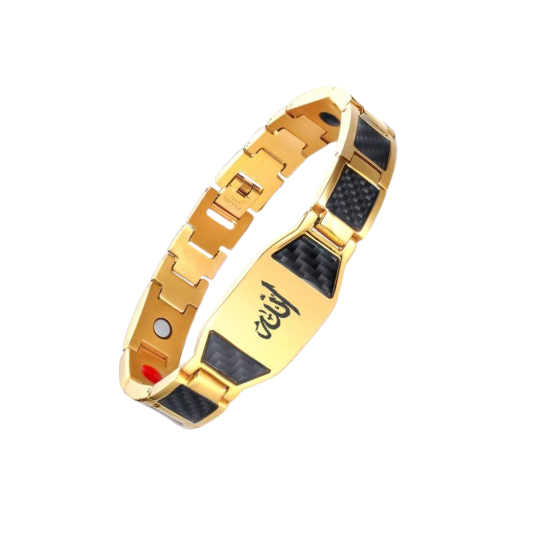 টাইটানিয়াম ম্যাগনেটিক ব্রেসলেট (TMB-12)