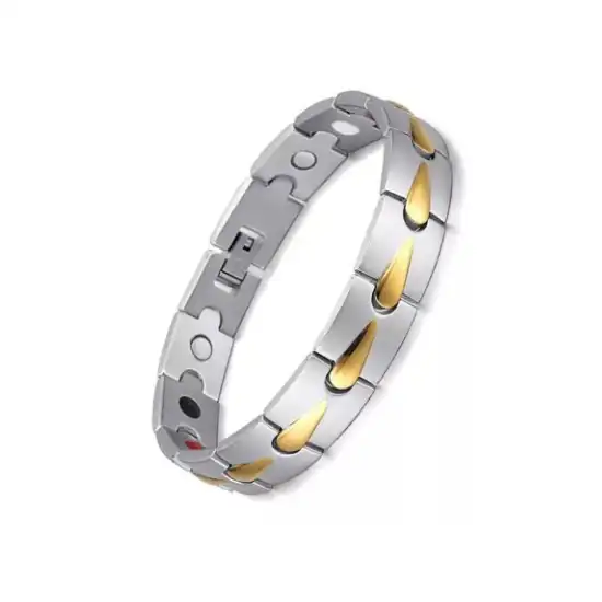 টাইটানিয়াম ম্যাগনেটিক ব্রেসলেট (TMB-42)