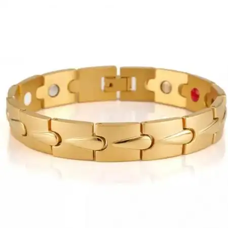 টাইটানিয়াম ম্যাগনেটিক ব্রেসলেট (TMB-46)